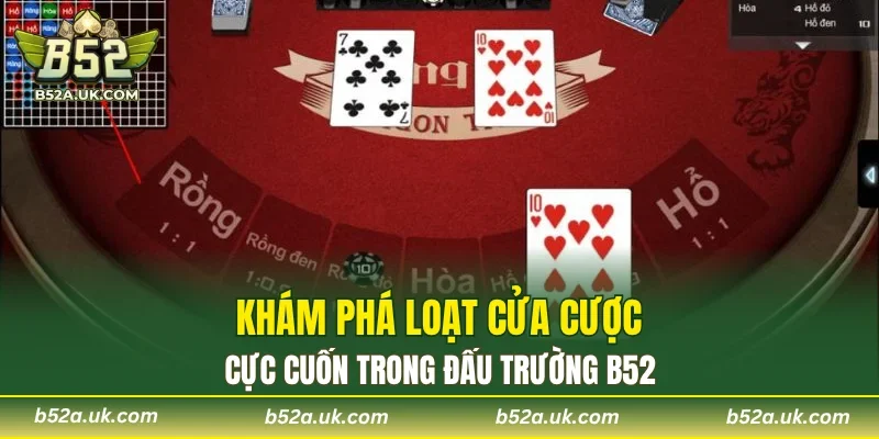 Hàng loạt cửa cược trong đấu trường rồng hổ